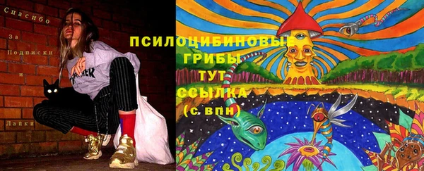 гидропоника Балахна